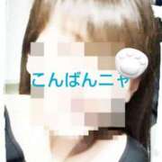 ヒメ日記 2026/03/28 01:25 投稿 黒須 恋恋 こあくまな熟女たち 千葉店（KOAKUMAグループ）