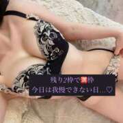 ヒメ日記 2025/12/27 12:36 投稿 えりん【純情キレカワ美少女】 STELLA TOKYO－ステラトウキョウ－