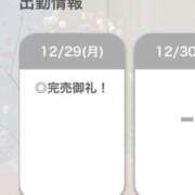 ヒメ日記 2025/12/29 20:06 投稿 えりん【純情キレカワ美少女】 STELLA TOKYO－ステラトウキョウ－