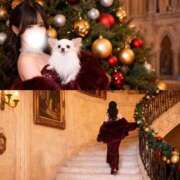 ヒメ日記 2026/01/13 17:38 投稿 えりん【純情キレカワ美少女】 STELLA TOKYO－ステラトウキョウ－