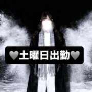 ヒメ日記 2026/01/15 23:32 投稿 えりん【純情キレカワ美少女】 STELLA TOKYO－ステラトウキョウ－