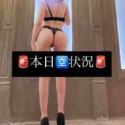 ヒメ日記 2026/01/17 09:36 投稿 えりん【純情キレカワ美少女】 STELLA TOKYO－ステラトウキョウ－