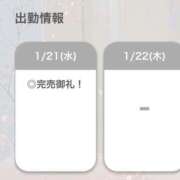 ヒメ日記 2026/01/21 20:08 投稿 えりん【純情キレカワ美少女】 STELLA TOKYO－ステラトウキョウ－