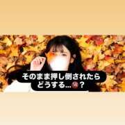 ヒメ日記 2026/01/24 00:43 投稿 えりん【純情キレカワ美少女】 STELLA TOKYO－ステラトウキョウ－