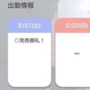 ヒメ日記 2026/02/22 14:10 投稿 えりん【純情キレカワ美少女】 STELLA TOKYO－ステラトウキョウ－