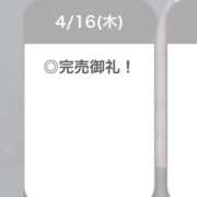 ヒメ日記 2026/04/17 02:26 投稿 えりん【純情キレカワ美少女】 STELLA TOKYO－ステラトウキョウ－