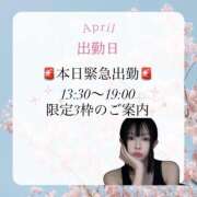 ヒメ日記 2026/04/28 07:12 投稿 えりん【純情キレカワ美少女】 STELLA TOKYO－ステラトウキョウ－