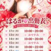 ヒメ日記 2026/10/11 22:20 投稿 はるか THE ESUTE 五反田店