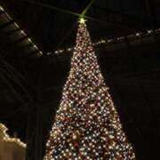 セイナ ❤︎ 食べログお礼 ❤︎ RING