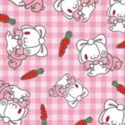 ヒメ日記 2025/11/13 00:13 投稿 BELL（べる） UTAKATA