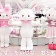 BELL（べる） しゅ！ UTAKATA