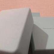 ヒメ日記 2025/11/05 15:50 投稿 ふみな 黒い金魚（札幌）