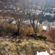 ヒメ日記 2025/11/29 19:06 投稿 まいか★天然G乳のご奉仕JD★ Chloe錦糸町店 S級素人清楚系デリヘル