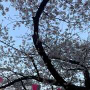 ヒメ日記 2026/03/30 17:11 投稿 まいか★天然G乳のご奉仕JD★ Chloe錦糸町店 S級素人清楚系デリヘル