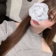 ヒメ日記 2026/03/31 04:39 投稿 美桜☆感度抜群8頭身神スタイル 京都Jewel