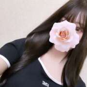 ヒメ日記 2026/04/15 01:32 投稿 美桜☆感度抜群8頭身神スタイル 京都Jewel