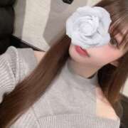 ヒメ日記 2026/05/21 04:21 投稿 美桜☆感度抜群8頭身神スタイル 京都Jewel