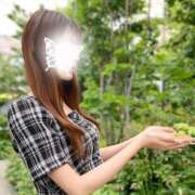 ヒメ日記 2026/06/12 12:59 投稿 美桜☆感度抜群8頭身神スタイル 京都Jewel