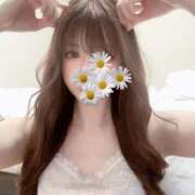 ヒメ日記 2026/08/25 03:40 投稿 美桜☆感度抜群8頭身神スタイル 京都Jewel