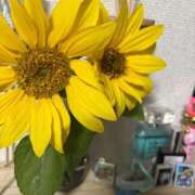 ヒメ日記 2025/11/17 19:59 投稿 ねおら 五反田サンキュー