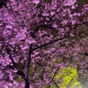 ゆな 今日あったかいね〜🌸🌸 たっぷりHoneyoilSPA福岡中洲店