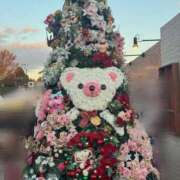 ヒメ日記 2025/12/10 21:29 投稿 手島 珠美 東京貴楼館