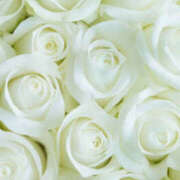 ヒメ日記 2025/11/02 05:00 投稿 香椎まゆき ワイフコレクション