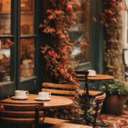 ヒメ日記 2025/11/03 17:30 投稿 香椎まゆき ワイフコレクション