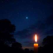 ヒメ日記 2025/11/04 00:00 投稿 香椎まゆき ワイフコレクション