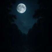 ヒメ日記 2025/11/06 20:20 投稿 香椎まゆき ワイフコレクション