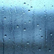 ヒメ日記 2025/11/09 10:15 投稿 香椎まゆき ワイフコレクション