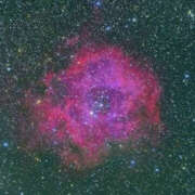 ヒメ日記 2025/11/09 20:20 投稿 香椎まゆき ワイフコレクション