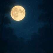 ヒメ日記 2025/11/13 00:30 投稿 香椎まゆき ワイフコレクション