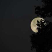 ヒメ日記 2025/12/07 19:45 投稿 香椎まゆき ワイフコレクション