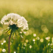 ヒメ日記 2025/12/10 08:00 投稿 香椎まゆき ワイフコレクション