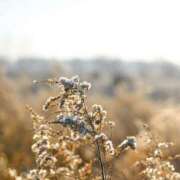 ヒメ日記 2025/12/12 18:00 投稿 香椎まゆき ワイフコレクション