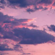 ヒメ日記 2025/12/13 16:00 投稿 香椎まゆき ワイフコレクション