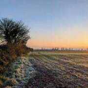 ヒメ日記 2025/12/20 08:00 投稿 香椎まゆき ワイフコレクション