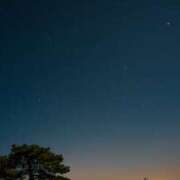 ヒメ日記 2025/12/25 22:30 投稿 香椎まゆき ワイフコレクション