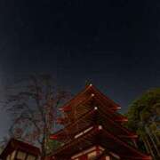 ヒメ日記 2025/12/22 00:00 投稿 香椎まゆき ワイフコレクション