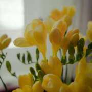 ヒメ日記 2026/04/04 00:09 投稿 香椎まゆき ワイフコレクション