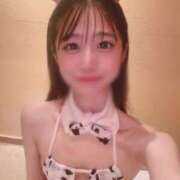 ヒメ日記 2025/11/09 07:00 投稿 イロハ きらめけ！にゃんにゃん学園in大宮