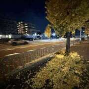 ヒメ日記 2025/12/05 23:46 投稿 真莉 快楽玉乱堂