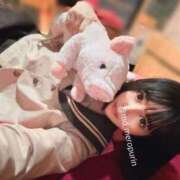 ヒメ日記 2026/01/21 11:48 投稿 めろ【プレミアム】 大人のゴシャール