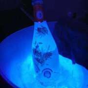 ヒメ日記 2026/10/13 10:02 投稿 ねね X-PARTY