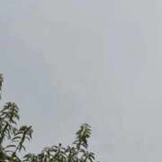 ヒメ日記 2025/10/28 12:07 投稿 若葉【ワカバ】 ピンクコレクション尼崎店