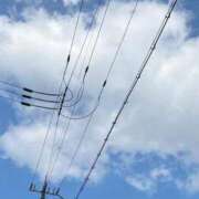 ヒメ日記 2025/11/14 12:22 投稿 若葉【ワカバ】 ピンクコレクション尼崎店