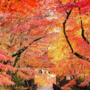 ヒメ日記 2025/11/15 19:37 投稿 うみ 渋谷 風俗 奥様発情の会