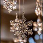 ヒメ日記 2025/12/12 07:44 投稿 うみ 渋谷 風俗 奥様発情の会