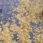 みく みなさま体調にはお気をつけて……🥲🥲 ビデオdeはんど 町田校